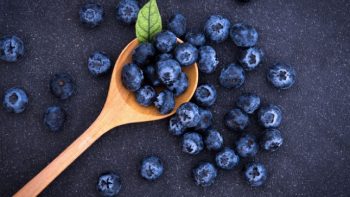 Russian blueberry imports continue to increase at record rates