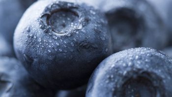 Exportaciones del Maule crecen un 6,8% en el primer semestre impulsadas por la fruta fresca