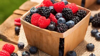 Investigadores buscan mejorar la detección de la norovirus humana y el virus de la hepatitis A en berries