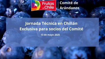 Comité de Arándanos de Frutas de Chile anuncia cambio de fecha de Jornada Técnica en Chillán para el 13 de mayo