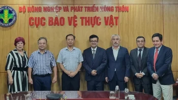 Misión SAG y Frutas de Chile al Asia: Avances para las exportaciones de kiwis, arándanos y el envío de cerezas vía aérea en Vietnam